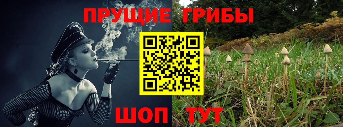 Азнакаево  купить наркотик  Вход с VPN  Галлюциногенные грибы Psilocybine cubensis 